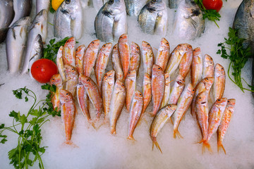 Fish Food in a Fish Market Stand