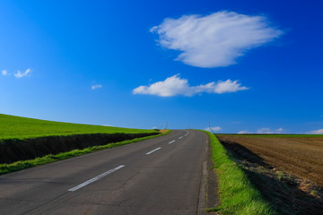 日本北海道　青空へ続く道