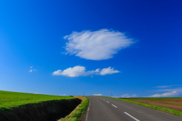 日本北海道　絶景へ続く道