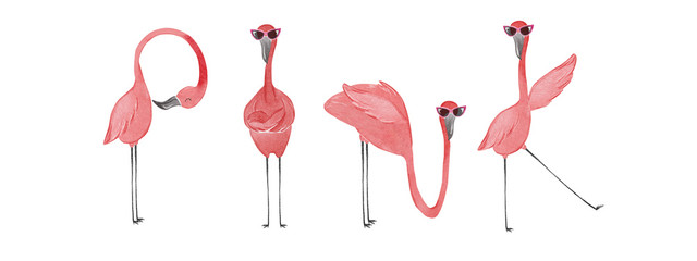 Handgezeichnete Aquarell Flamingos. Schriftzug Flamingorosa