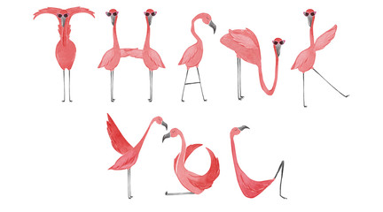 Flamants roses aquarelles dessinés à la main. Flamingo Merci lettrage