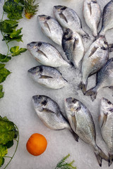 Fish Food in a Fish Market Stand