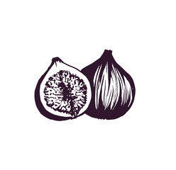 Figs fruit sketch ink vector illustration