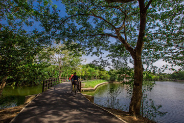 The natural background of flowers (orange) that fall on the ground surface beneath the trees, is the beauty of shedding leaves, with a blurred sunshine of the wind blowing through together.