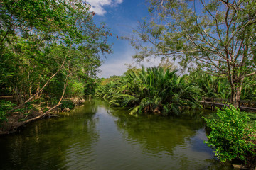 Bang Kachao:May26,2019,atmosphere in park near Bangkok,with people visiting nature,cycling, couples,families with young children,friends group to relax during the holiday,area Bang Nam Phueng,Thailand
