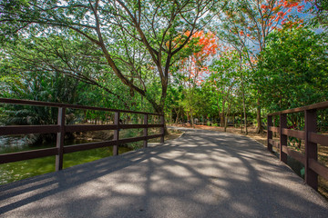 Bang Kachao:May26,2019,atmosphere in park near Bangkok,with people visiting nature,cycling, couples,families with young children,friends group to relax during the holiday,area Bang Nam Phueng,Thailand