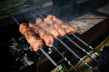 Barbecue is prepared on the coals in nature.