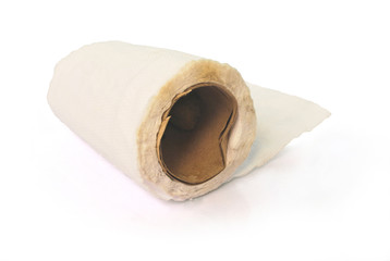 Old toilet paper has many germs on white background.(with Clipping Path).