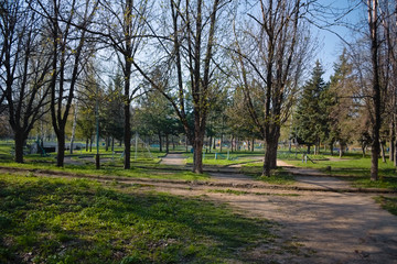 Paths of recreation park for children and adults. Bright green young spring greens perfectly with the sun rays and the shadows of the trees.