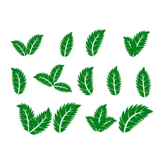 Afwasbaar Fotobehang Tropische bladeren green leaf icons set on white background