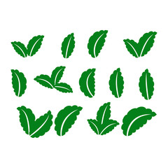 green leaf icons set on white background