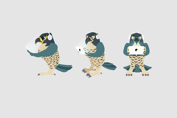 falcon from different viewing angles. holding a laptop. in headphones - vector