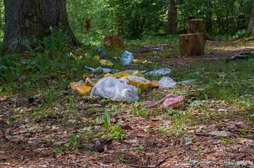 big pile garbage in the forest