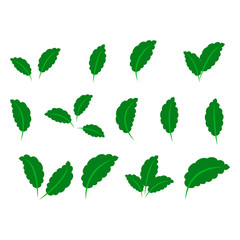 collection with green leaves in flat style for icons and graphic design