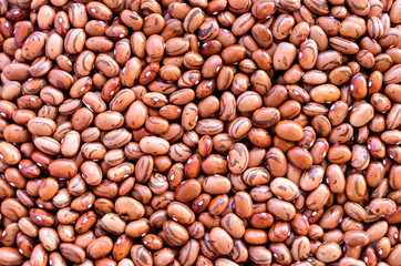 Beans of bean ( beans ).  Background of many grains of dried beans. Brown beans texture. Food background. Close up.