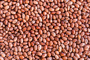 Beans of bean ( beans ).  Background of many grains of dried beans. Brown beans texture. Food background. Close up.