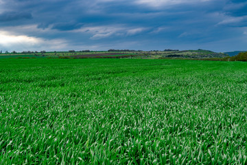 Flight over cultivating field in the spring. Moldova Republic of.