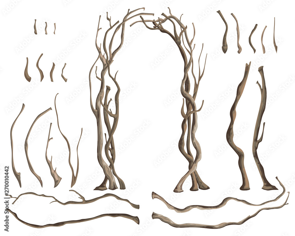 Wall mural rustic arch with tree branches and isolated design elements on white background. vector illustration