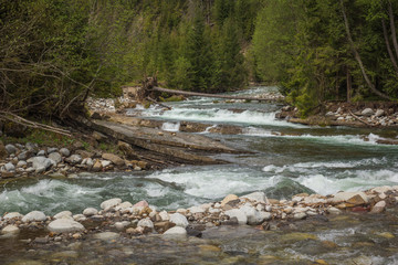 Bialka river near Jurgow, Malopolskie, Poland