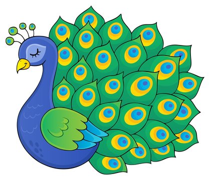 Peacock theme image 3