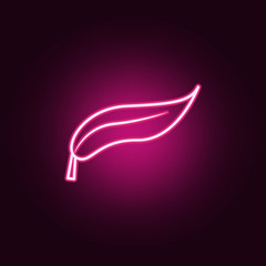 plant leaf neon icon. Elements of web set. Simple icon for websites, web design, mobile app, info graphics