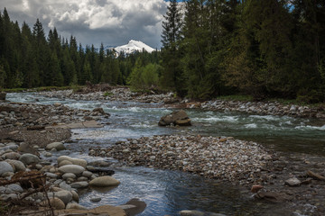 Bialka river near Jurgow, Malopolskie, Poland