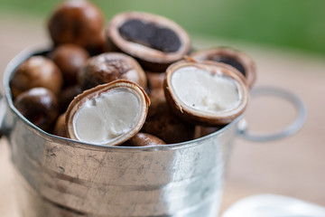 Barometer earthstar or Thailand in season ball mushroom ready to cook