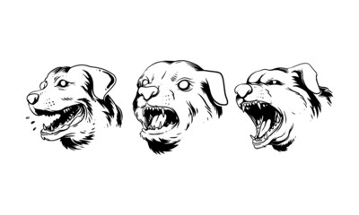 vector image of a dog, Hand drawn illustration of dog head
