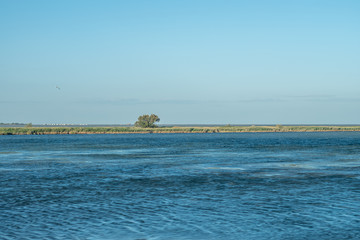 Horizon marin