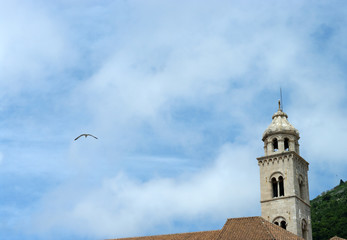 Mouette et clocher à Dubrovnik