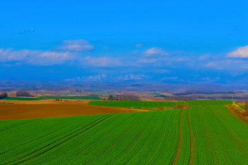 北海道　大地と丘と青空イメージ
