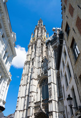 Obraz premium The Cathedral of Antwerp Photo taken from the lowest point all the way up