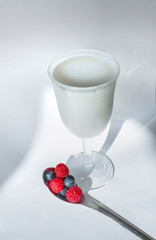 Fresh homemade yogurt with berries
