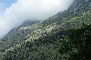 Vue des collines environnant Kotor depuis la forteresse