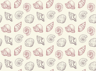 Fototapeta na wymiar Beige elegant pattern of handdrawn seashells 