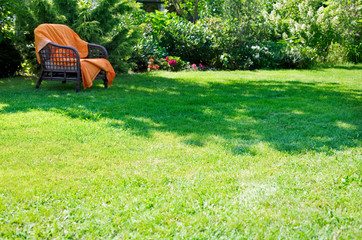 armchair in the green garden