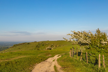 A pathway on Ditchling Beacon along the South Downs Way in Sussex, on a sunny evening