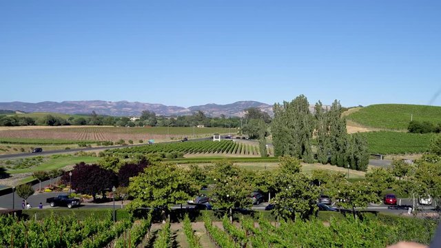 authentic lifestyle napa valley vineyard usa. back view of young girl backpacker leaning on railing sightseeing beautiful nature view in spring wild environment. people driving car on road walking.