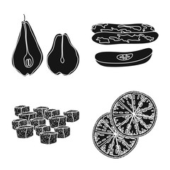 Isolated object of vitamin  and nature   logo. Set of vitamin  and dried  stock vector illustration.