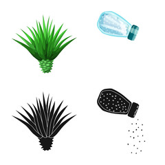 Vector illustration of cafe and Latin symbol. Set of cafe and national vector icon for stock.