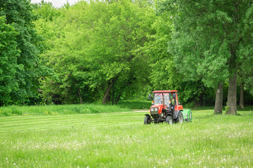 Fototapeta premium tractor lawn mower mows grass
