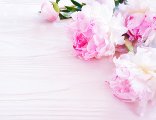 beautiful fresh flower peony on white wooden background, frame