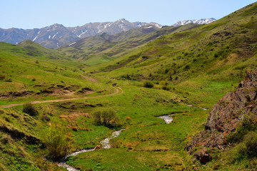 Mountain terrain meadows in Altyn-Emel