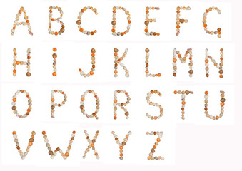 letters of the English alphabet from seashells