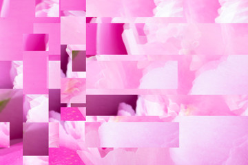 Abstract duotone gradient contrast background with parts of peony leaves and cubes for creative design. Macro. Horizontal.