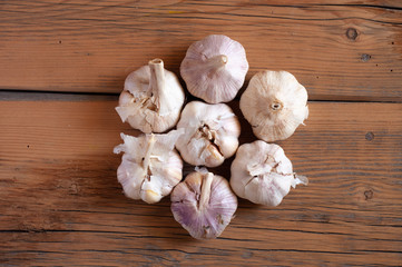 young garlic on a wooden table