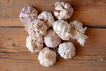 young garlic on a wooden table