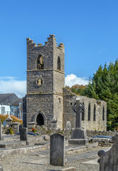 Fototapeta na wymiar Cong Abbey, Ireland
