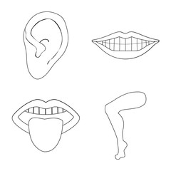 Vector illustration of body and part symbol. Set of body and anatomy vector icon for stock.