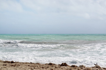 En la orilla del mar. La playa en verano.